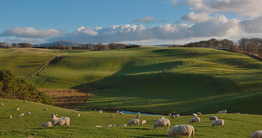 Paisaje de las Tierras Bajas